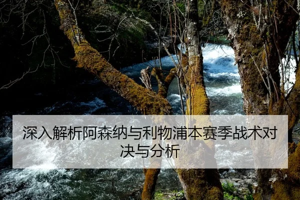 深入解析阿森纳与利物浦本赛季战术对决与分析